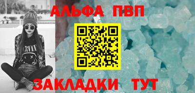 стафф Камышлов