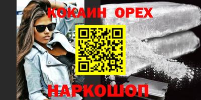стафф Камышлов