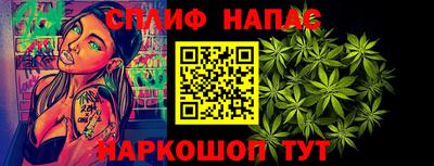 стафф Камышлов
