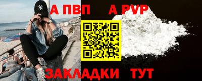 стафф Камышлов