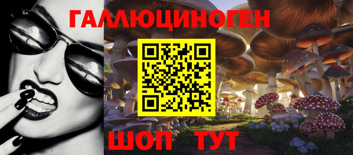 дарнет шоп  Вход с VPN  Лениногорск  Галлюциногенные грибы Psilocybine cubensis 