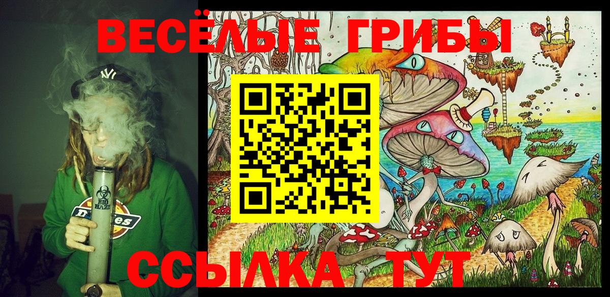 Галлюциногенные грибы Psilocybe Лениногорск